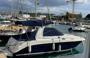 Sea Ray 260 DA